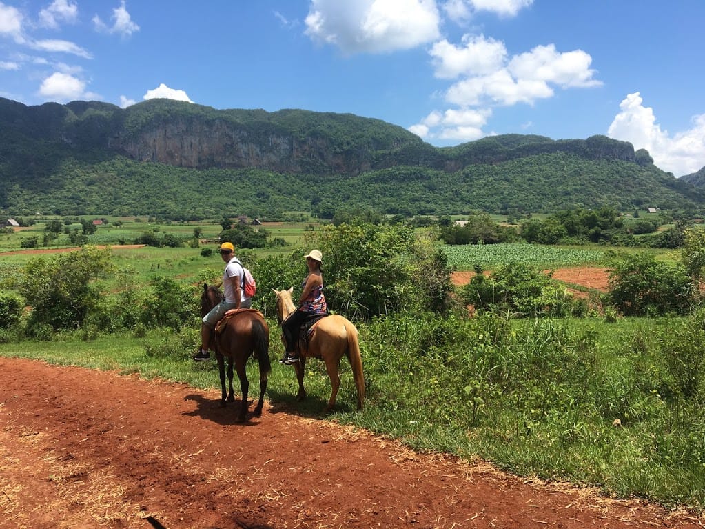 Vinales - Küba (4.Bölüm) IMG 1672 vinales atlar