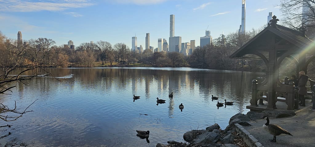 New York Central Park