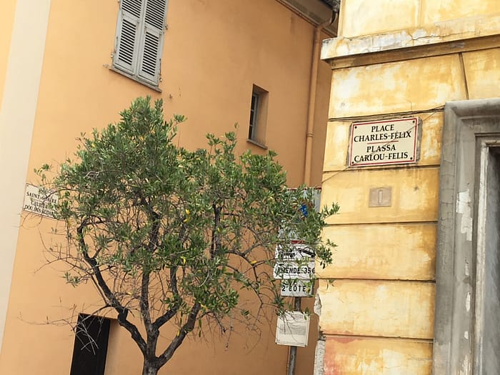 Nice: Kış Güneşi IMG 4230 Eski nice