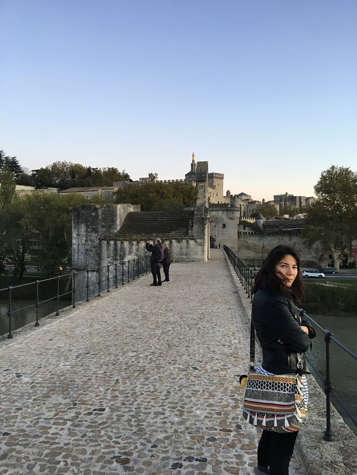 Provence IMG 8619 Avignon Köprüsü