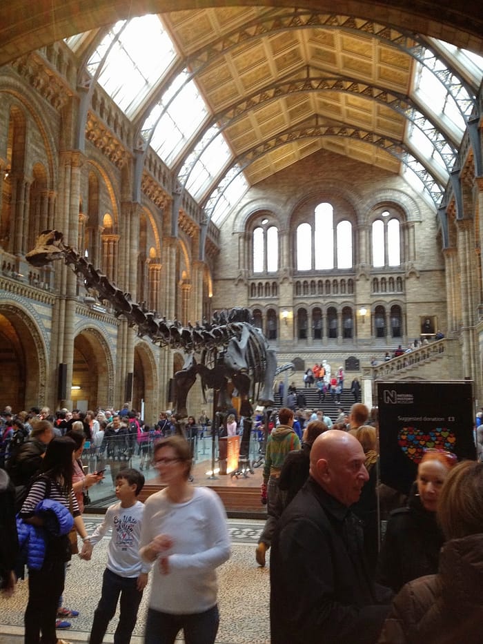 Londra Publarında Maç İzlemek IMG 3657 Londra Doğa Tarihi Müzesi
