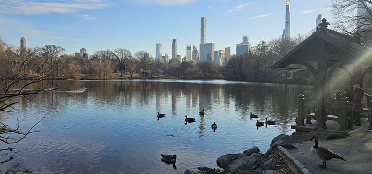 New York'ta Noel ecc7ac45 3049 4374 827a d46ee7ce9a62 New York Central Park